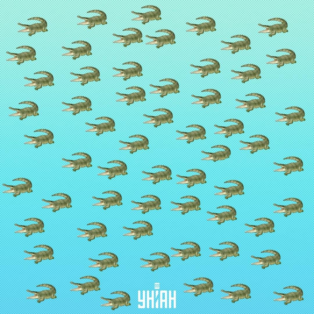 Влечугото е скрито, но трябва да го видите след 15 секунди / Колаж Moje