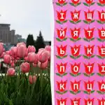 Можете ли да откриете думата "лале" за 11 секунди: много