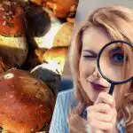 Само хора със свръхмощен коефициент на интелигентност ще видят камък