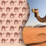 Само съвременните Шерлок Холмс ще открият странната камила: загадка за